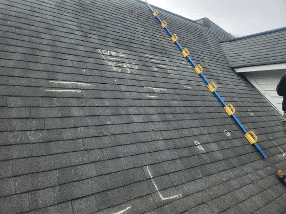 VP Exteriors Picture 7