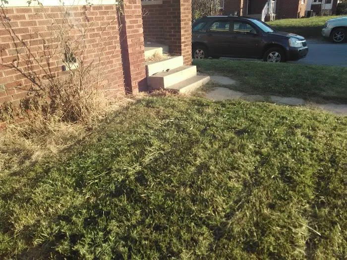 Leak Proof Roof Picture 3