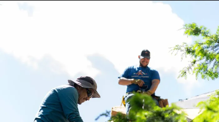 Companions Exteriors Roofing Picture 5