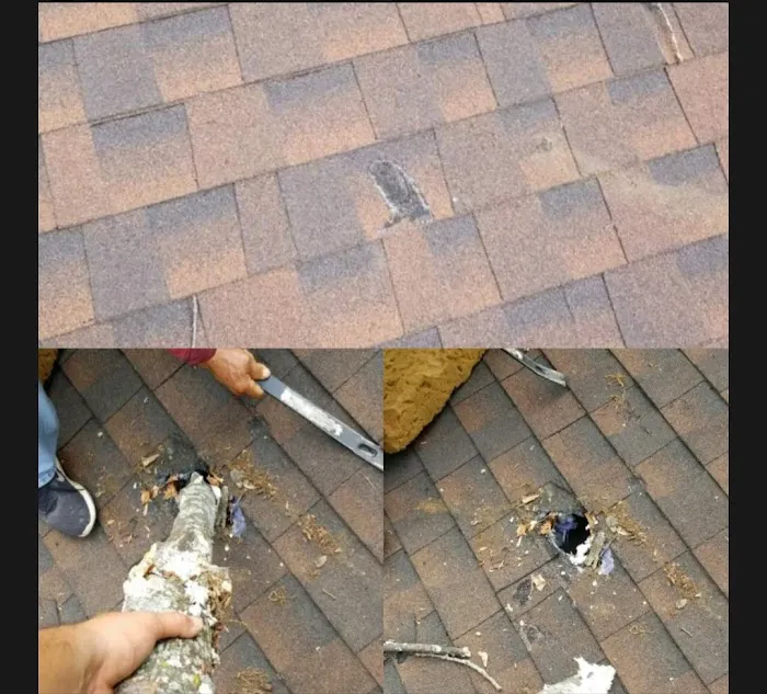 Companions Exteriors Roofing Picture 10