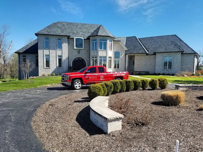 Rees Restoration Picture 4