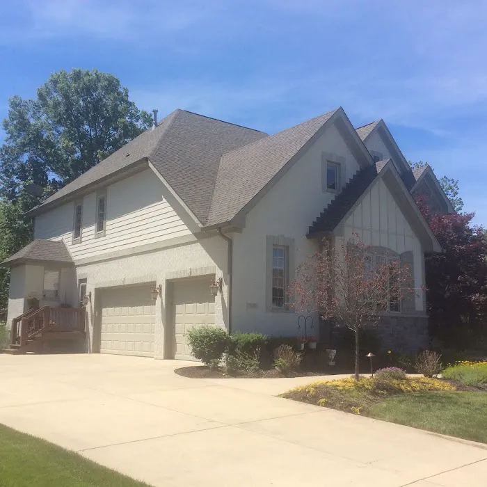 Moss Roofing Picture 1