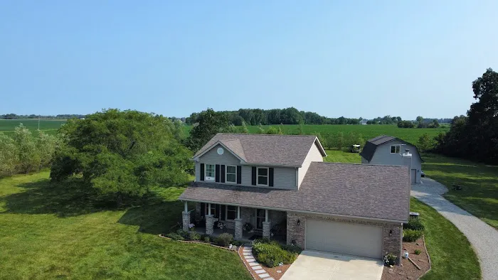 Moss Roofing Picture 2