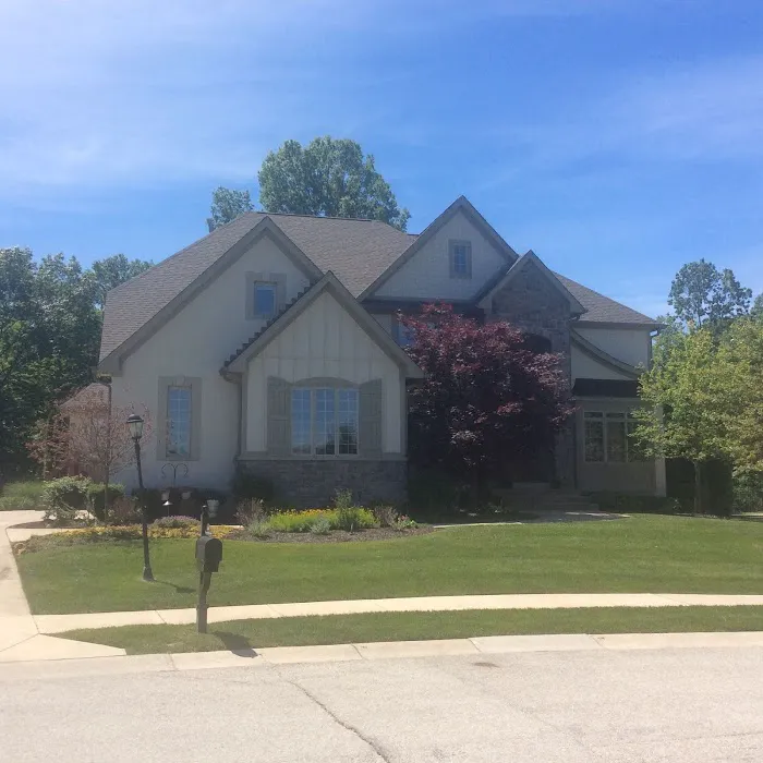 Moss Roofing Picture 6