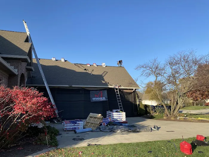 Moss Roofing Picture 4