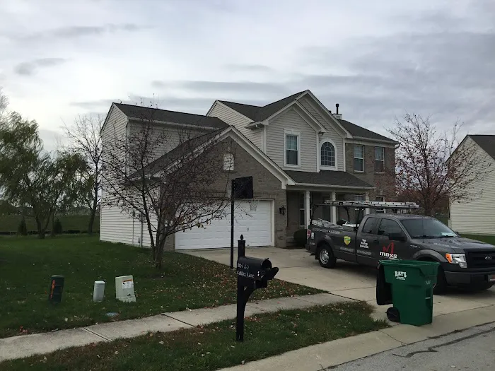 Moss Roofing Picture 5