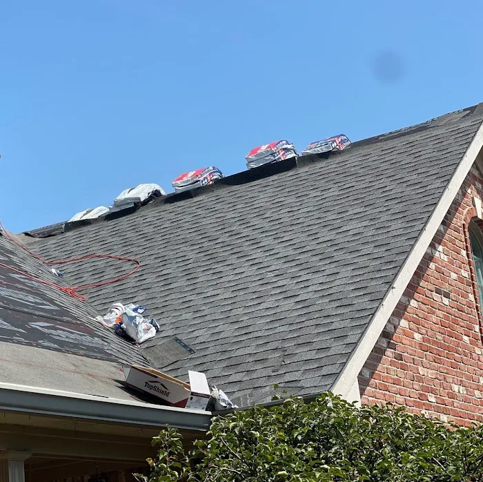 Moss Roofing Picture 7