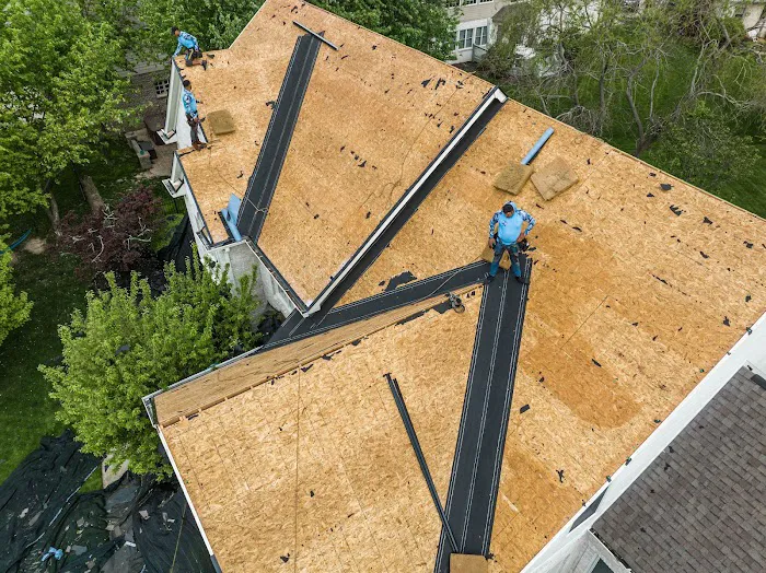 The Roof Squad Picture 6