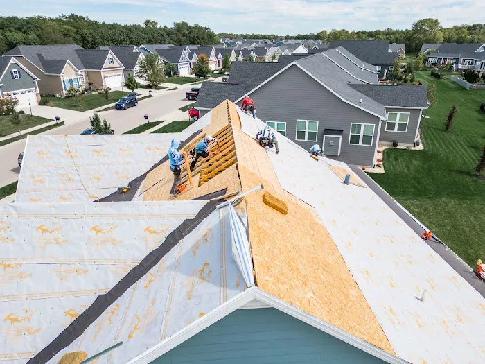 The Roof Squad Picture 8