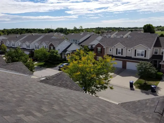 The Roof Squad Picture 9