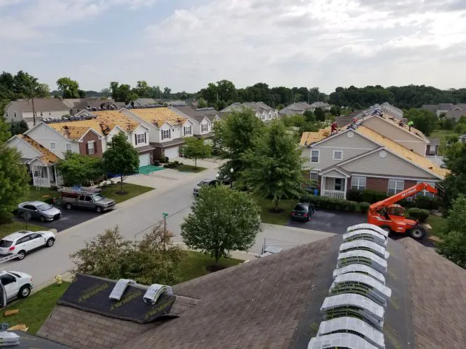 The Roof Squad Picture 7