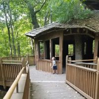 Perry St Clair Roofing Co ico