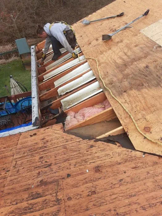 Ford & Son Roofing Co. Picture 4