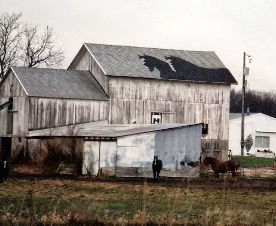 Sherriff Goslin Roofing Cincinnati Picture 7
