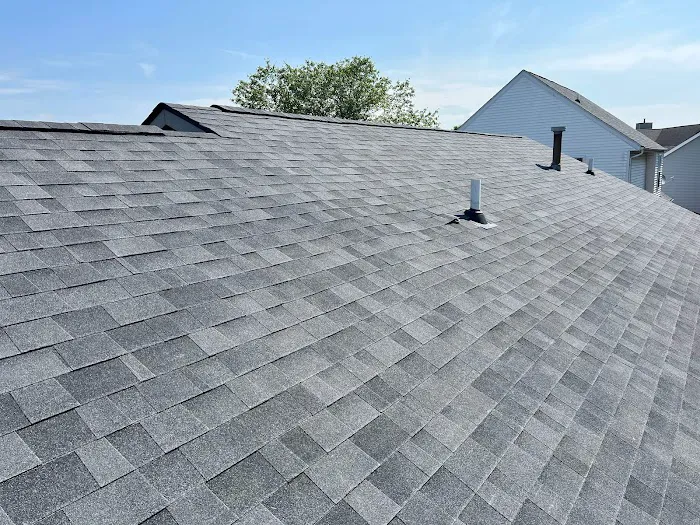 Modern Roof Picture 1