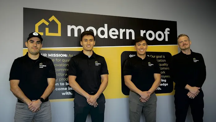 Modern Roof Picture 4