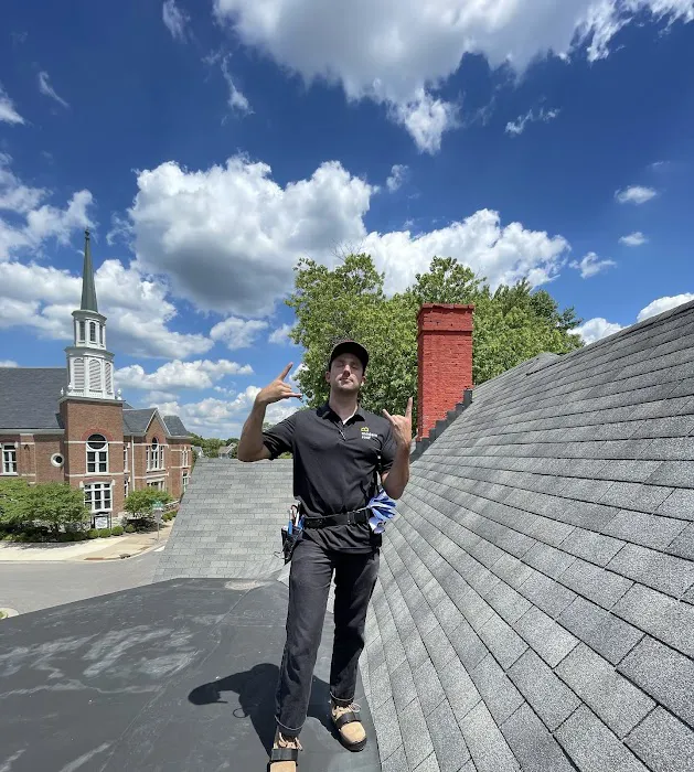 Modern Roof Picture 8