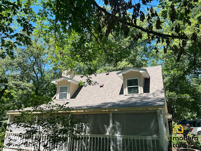 Modern Roof Picture 10