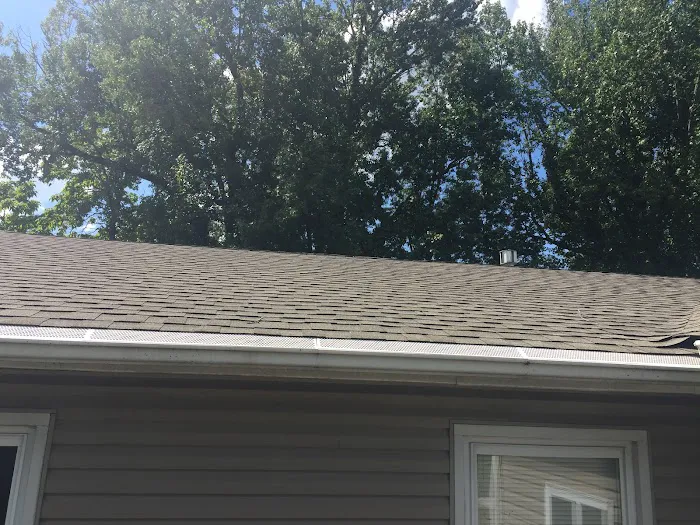 Davis roofing Picture 1