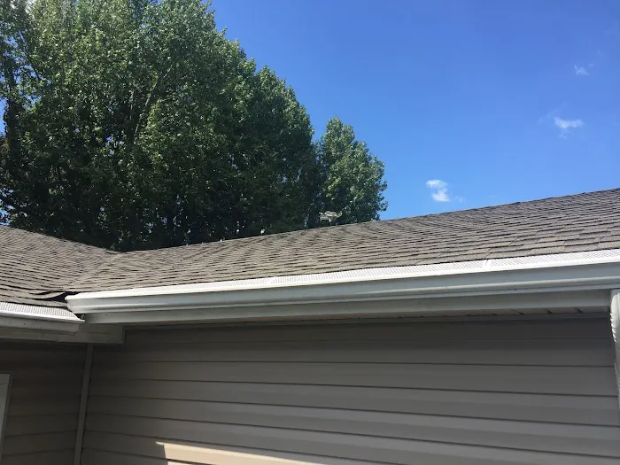 Davis roofing Picture 2