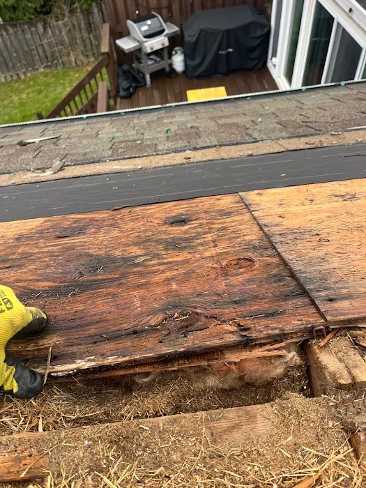 Empire Xteriors Picture 10