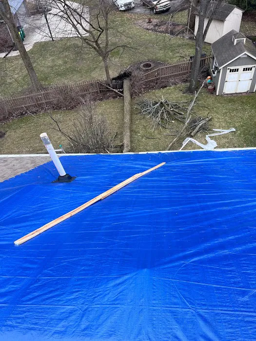 Empire Xteriors Picture 7