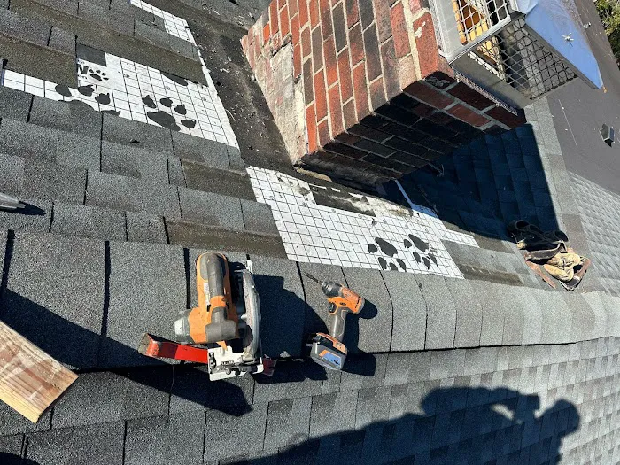 Uptop RoofR Picture 3