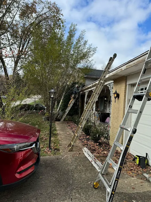 Uptop RoofR Picture 8