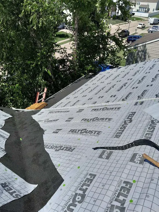 Roof Prodigy Picture 3