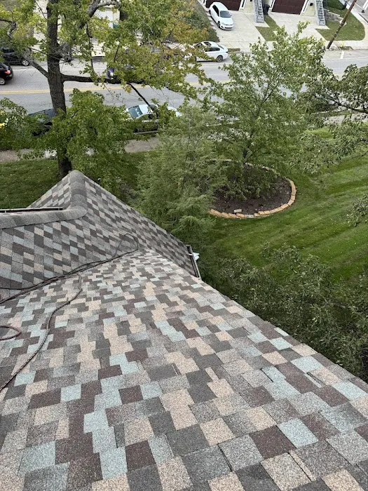 Roof Prodigy Picture 2