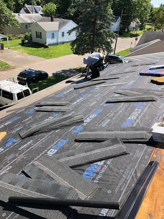 Roof Prodigy Picture 6