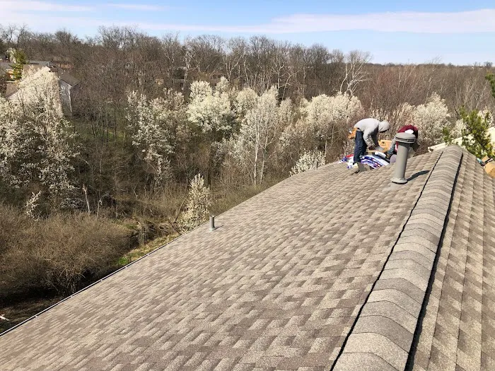 Roof Prodigy Picture 7