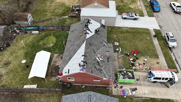 Roof Prodigy Picture 8