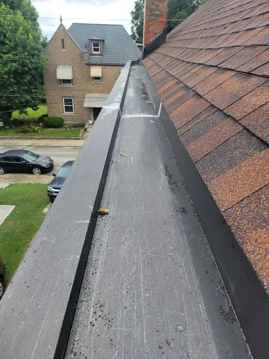 Fusion Roofing & Restoration Picture 1