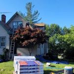 Four Paws Roofing & Remediation