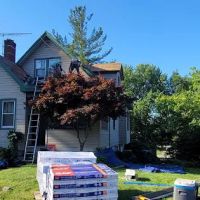 Four Paws Roofing & Remediation ico