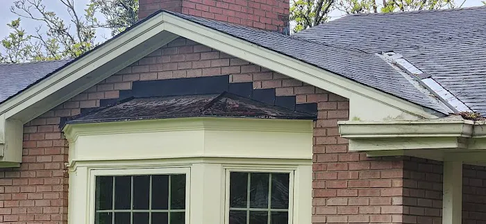 Four Paws Roofing & Remediation Picture 10