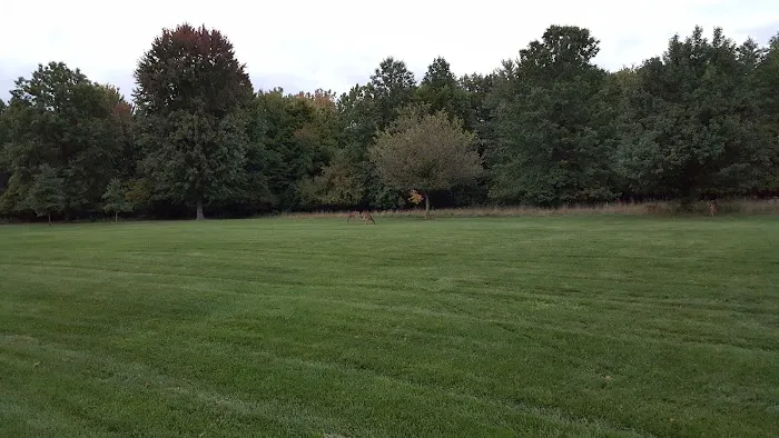 Allied Restoration Contractors - Roofing & Siding Picture 4