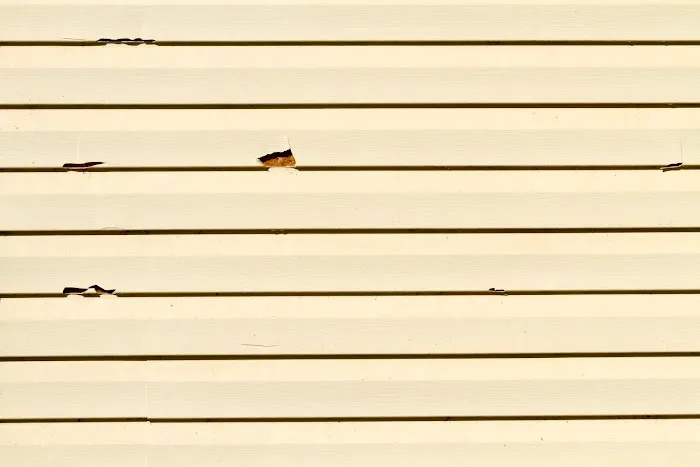 Claim It! Roofing & Siding, Inc. Picture 1