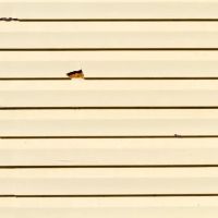 Claim It! Roofing & Siding, Inc. ico