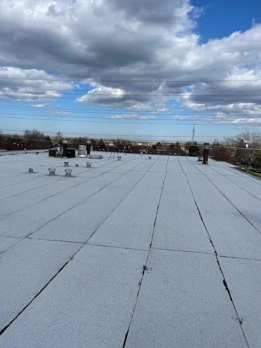 ANDUSA Inc Picture 9