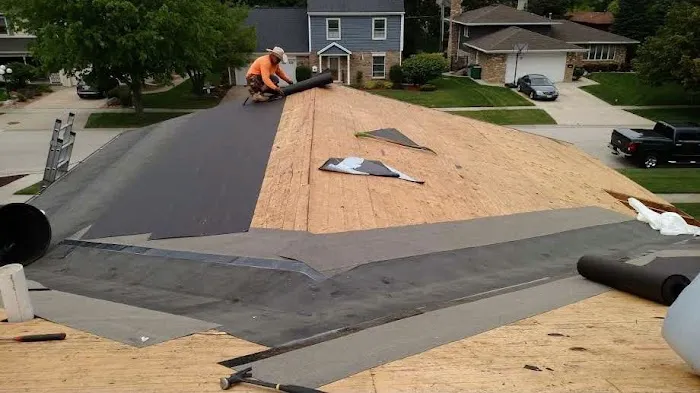 DNS Exterior Inc - Alsip Picture 8