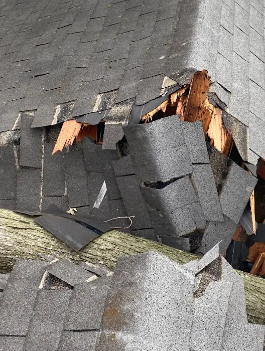 BAM Roofing Picture 7