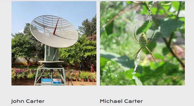 Carter Brothers Roofing Picture 1