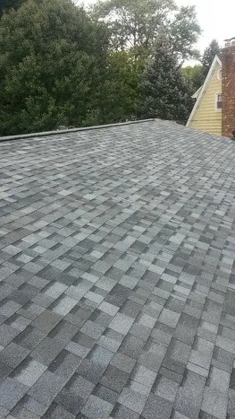 Vision Roofing Picture 2