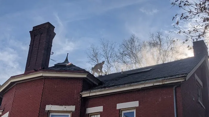 Roofing and Gutters Viktor Posnov Picture 6