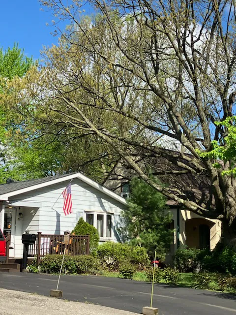 Holmes Construction & Roofing Solutions Picture 7