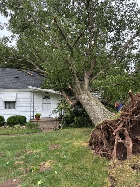 North American Contractors Picture 5