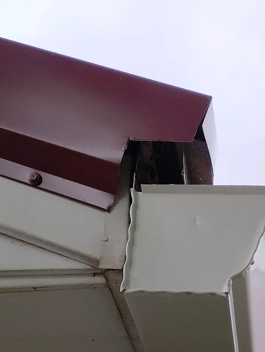 Smith and Sons Ohio (Roof & Tree) Picture 4