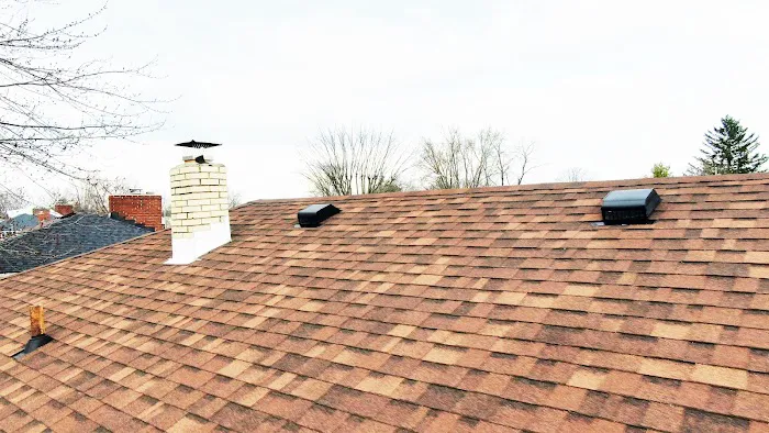 Smith and Sons Ohio (Roof & Tree) Picture 7